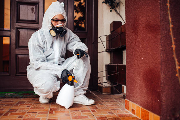 Reliable Wasp Removal contractor in Carterville, MO by Show Me Pest Control